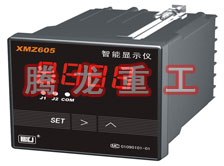 溫度表、數(shù)字顯示儀、濕度表