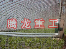 大棚花卉供暖設(shè)備、大棚卉采暖設(shè)備、大棚花卉取暖設(shè)備