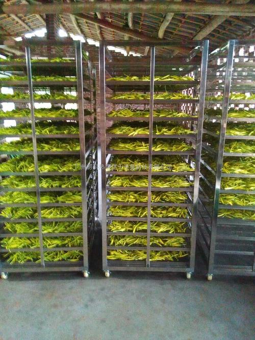 黃花菜烘干機(jī)、黃花菜烘干設(shè)備、黃花菜干燥機(jī)、黃花菜干燥設(shè)備、